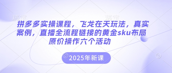 拼多多实操课程，飞龙在天玩法，真实案例，直播全流程链接的黄金sku布局原价操作六个活动-网创猫