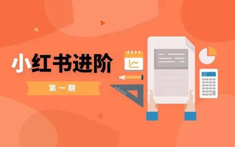 小红书进阶篇,零基础小白实战课,普通人变现的课程-网创猫