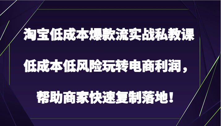 淘宝低成本爆款流实战私教课，低成本低风险玩转电商利润，帮助商家快速复制落地！-网创猫