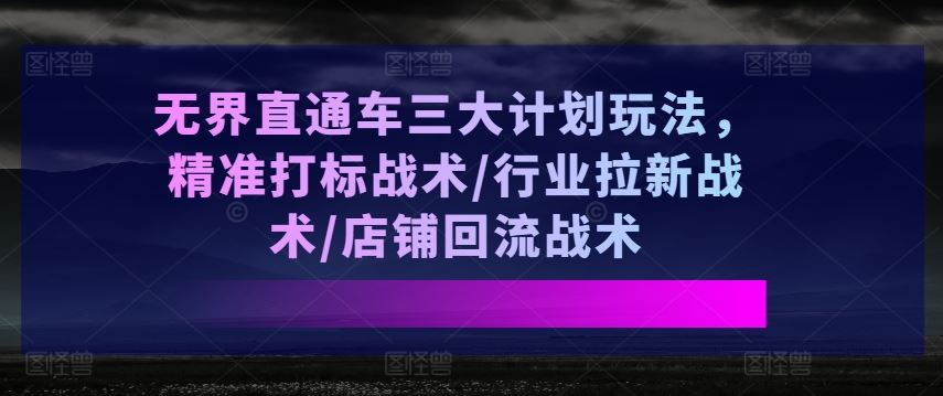 无界直通车三大计划玩法，精准打标战术/行业拉新战术/店铺回流战术-网创猫