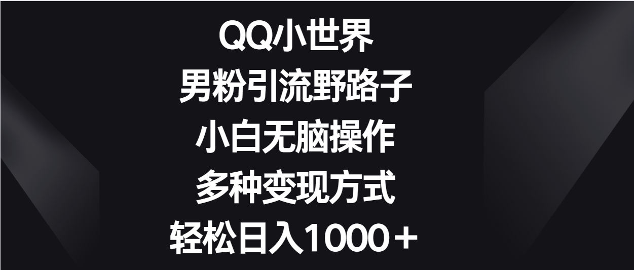 QQ小世界男粉引流野路子，小白无脑操作，多种变现方式轻松日入1000＋-网创猫