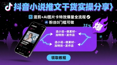 抖音小说推文干货实操分享，混剪+AI图片卡特效爆量全流程，0粉丝0门槛可做-网创猫
