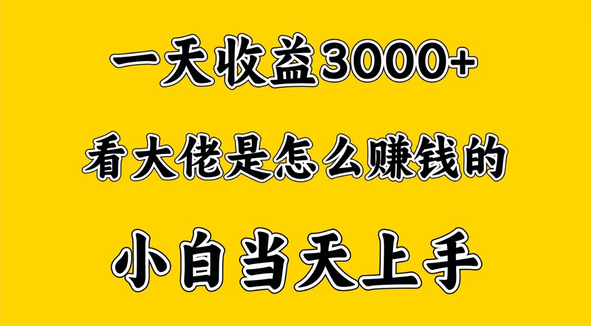一天赚3000多，大佬是这样赚到钱的，小白当天上手，穷人翻身项目-网创猫