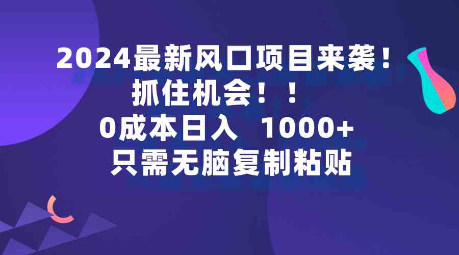 （9899期）2024最新风口项目来袭，抓住机会，0成本一部手机日入1000+，只需无脑复…-网创猫