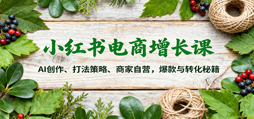 小红书电商增长课：AI创作、打法策略、商家自营，爆款与转化秘籍-网创猫