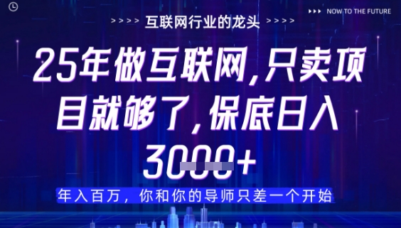 什么！25年你还在找项目做？风口早就变了，卖项目才是稳挣不赔【揭秘】-网创猫
