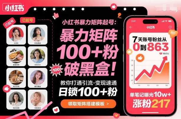 小红书暴力矩阵起号，教你打通引流-变现速通，日锁100+粉，破流量黑盒-网创猫
