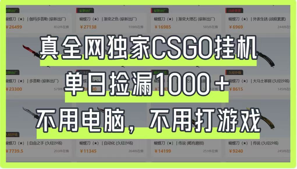 真全网独家CSGO挂机，单日捡漏1000+，不用电脑，不用养号-网创猫