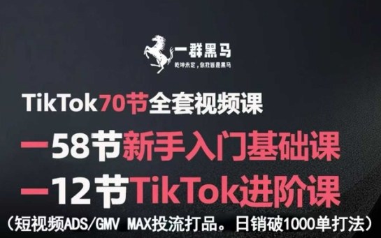TikTok全套视频课，新手入门+进阶课，短视频ADS-GMV MAX投流打品，日销破1000单打法-网创猫