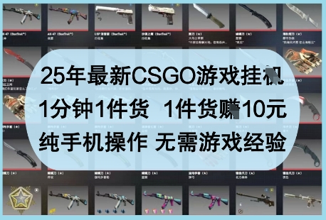 25年最新CSGO游戏挂G，1分钟1件货，1件货挣10元，纯手机操作，无需游戏经验【揭秘】-网创猫