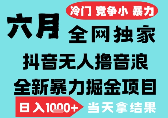 2025年6月高爆抖音无人直播最新撸音浪掘金项目，无脑日入1k+，低门槛小白可做，可矩阵放大-网创猫