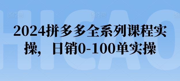 2024拼多多全系列课程实操，日销0-100单实操【必看】-网创猫