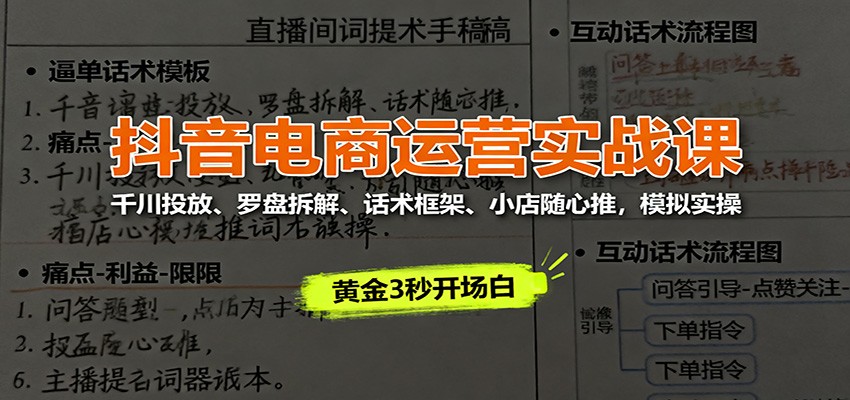 抖音电商运营实战课：千川投放、罗盘拆解、话术框架、小店随心推，模拟实操-网创猫