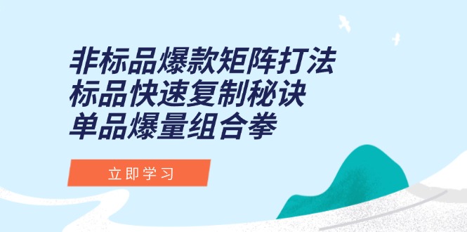 非标品爆款矩阵打法，标品快速复制秘诀，单品爆量组合拳-网创猫