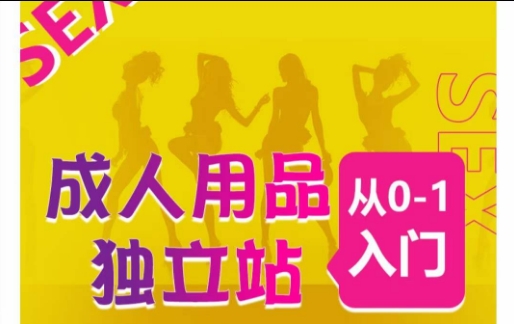 成人用品独立站从0-1入门，成品独立站运营全流程教学，七大好卖成品独立站推荐-网创猫