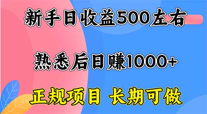 新手日收益500+ 正规项目 长期可做-网创猫
