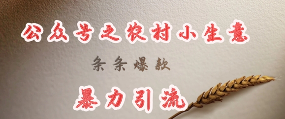 deepseek写农村小项目，条条爆款，暴力引流-网创猫