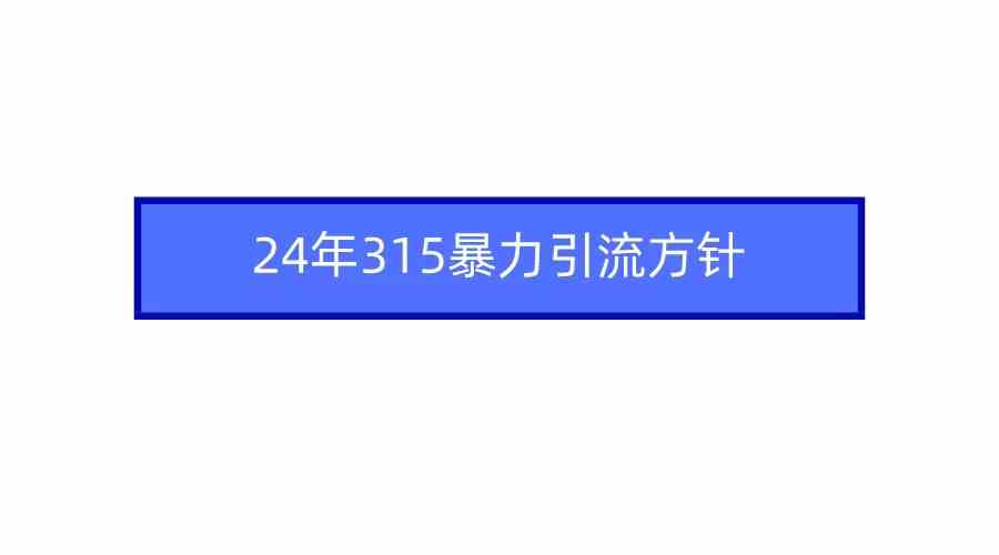 (9398期)2024年315暴力引流方针-网创猫