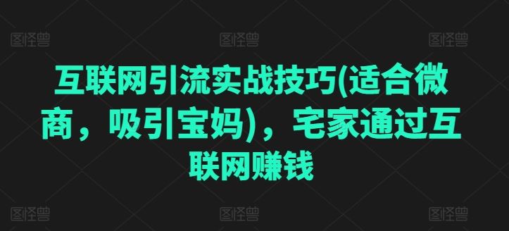 互联网引流实战技巧(适合微商，吸引宝妈)，宅家通过互联网赚钱-网创猫
