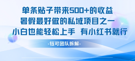 单条贴子带来5张的收益，暑假最好做的私域项目之一，小白也能轻松上手，有小红书就行-网创猫