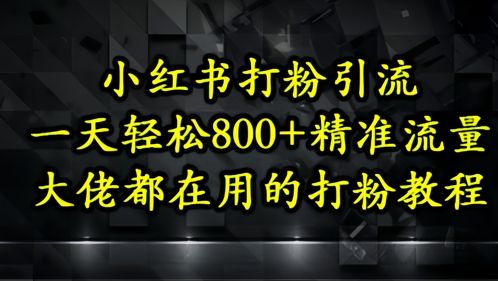 小红书打粉引流，一天轻松500+精准流量，大佬都在用的打粉教程-网创猫