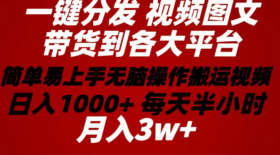 （10667期）2024年 一键分发带货图文视频 简单易上手 无脑赚收益 每天半小时日入1…-网创猫