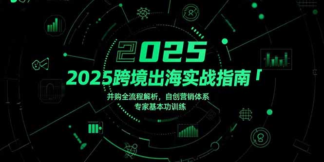 2025跨境出海实战指南，并购全流程解析，自创营销体系，专家基本功训练-网创猫