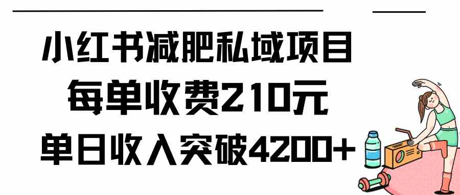 （9466期）小红书减肥私域项目每单收费210元单日成交20单，最高日入4200+-网创猫