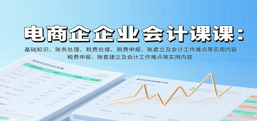 电商企业会计课：基础知识、账务处理、税费申报、账套建立及会计工作难点等实用内容-网创猫