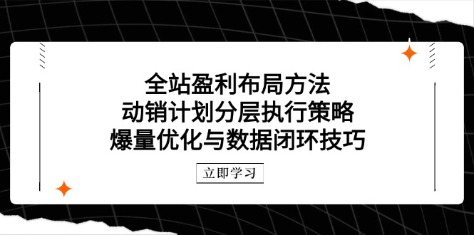 全站盈利布局方法：动销计划分层执行策略，爆量优化与数据闭环技巧-网创猫