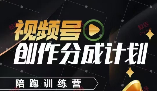 视频号创作分成计划陪跑训练营，手把手教会你如何制作视频，细水长流型项目-网创猫