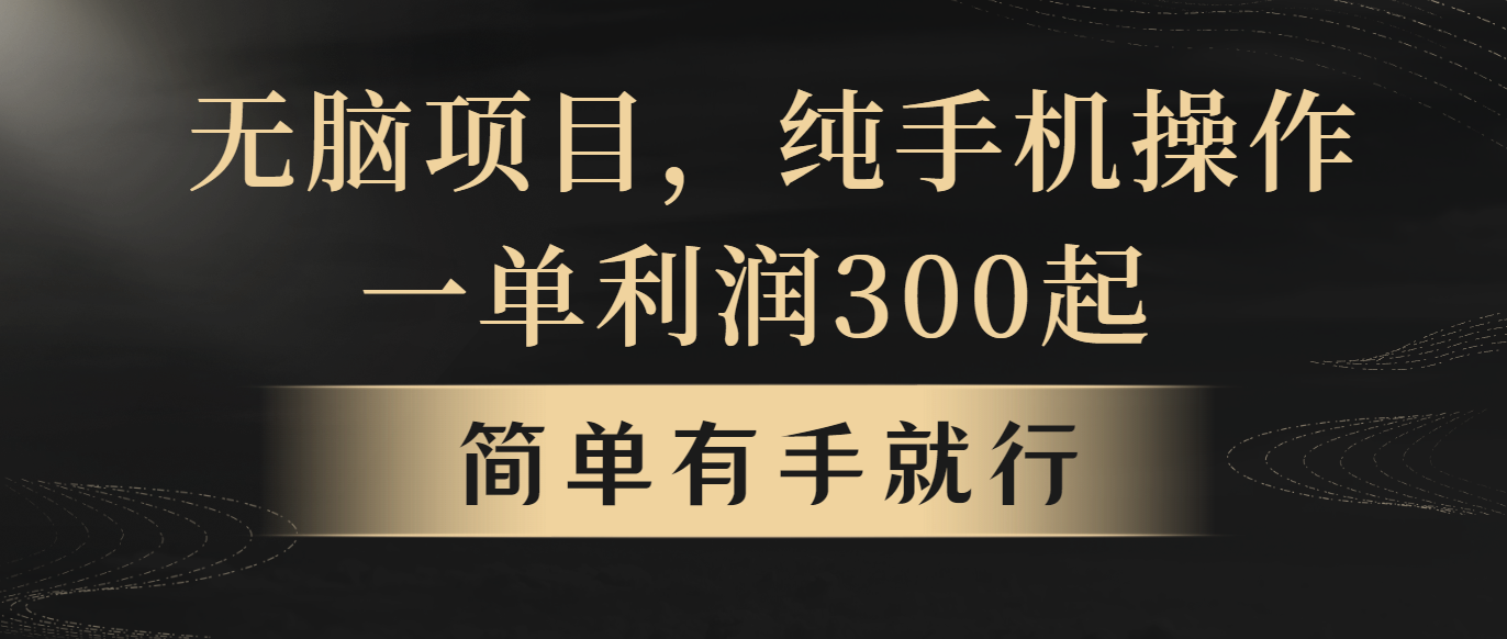 （10699期）无脑项目，一单几百块，轻松月入5w+，看完就能直接操作-网创猫
