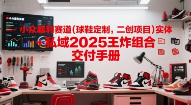 小众暴利赛道(球鞋定制，二创项目)实体+私域2025王炸组合  交付手册-网创猫