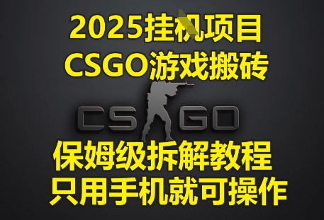 2025挂G项目，CSGO游戏搬砖，保姆级拆解教程，只用手机就可操作-网创猫