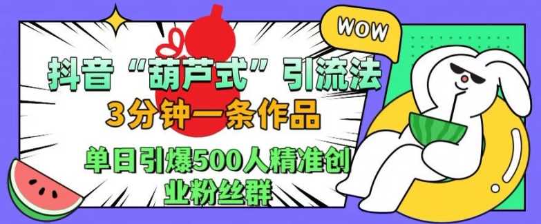 抖音葫芦式引流法，三分钟一条作品，单日引爆抖音500人精准创业粉丝群【揭秘】-网创猫