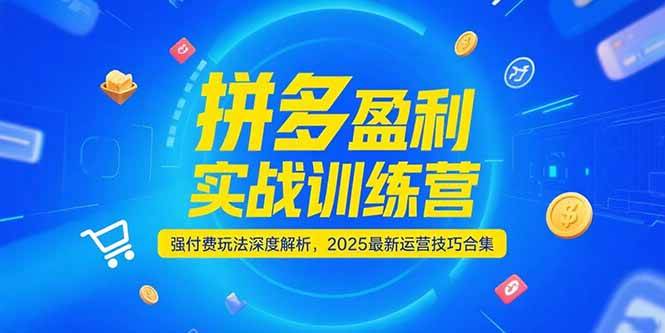 拼多多盈利实战训练营,强付费玩法深度解析,2025最新运营技巧合集-网创猫