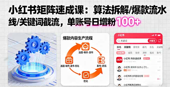 小红书矩阵起号速成课：算法拆解/爆款流水线/关键词截流 单账号日增粉100+-网创猫
