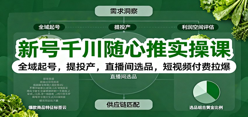 新号千川随心推实操课：全域起号，提投产，直播间选品，短视频付费拉爆-网创猫