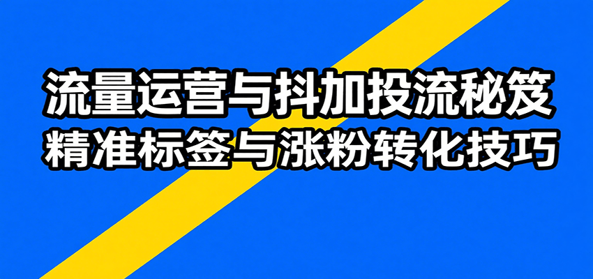 流量运营与抖加投流秘笈，含算法解析、爆款打造、精准标签与涨粉转化技巧-网创猫