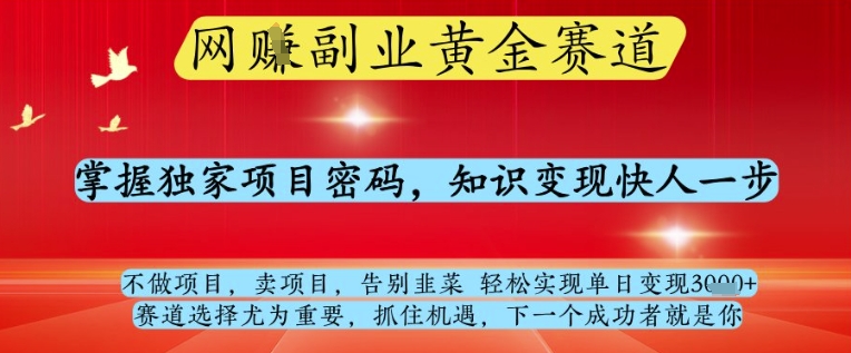 网创副业黄全赛道，掌握独家项目密码，知识变现快人一步，告别韭菜轻松实现单日变现1k+【揭秘】-网创猫