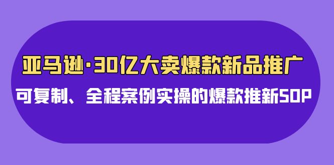 亚马逊30亿大卖爆款新品推广，可复制、全程案例实操的爆款推新SOP-网创猫