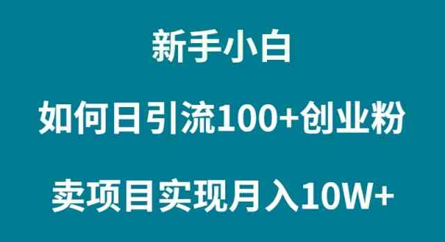 （9556期）新手小白如何通过卖项目实现月入10W+-网创猫