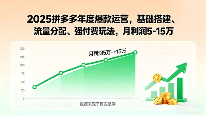 2025拼多多年度爆款运营，基础搭建、流量分配、强付费玩法，月利润5-15万-网创猫