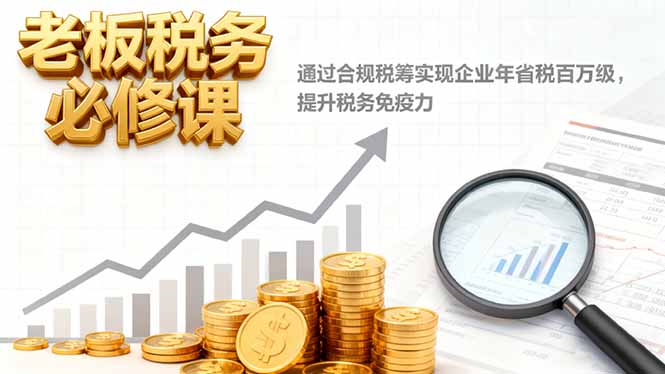 老板税务必修课，通过合规税筹实现企业年省税百万级，提升税务免疫力-网创猫