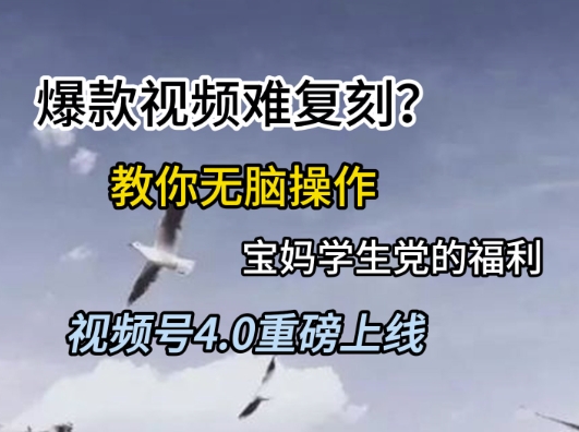 视频号4.0重磅上线，爆款视频难复刻？教你无脑操作宝妈学生党的福利-网创猫