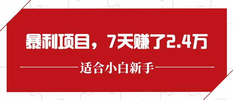 最新暴利项目，每单收益轻松在300以上，7天赚了2.4万-网创猫