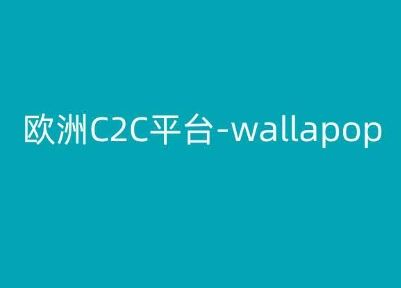 欧洲C2C平台-wallapop-kim跨境电商教程-网创猫