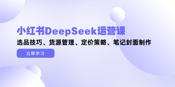 小红书DeepSeek运营课，选品技巧、货源管理、定价策略、笔记封面制作-网创猫