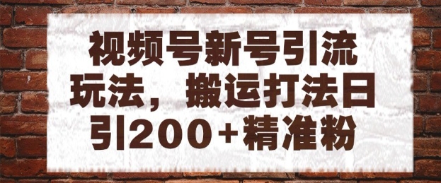 视频号新号引流玩法，搬运打法日引200+精准粉，可矩阵放大-网创猫
