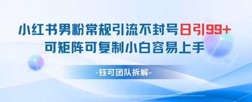 小红书男粉常规引流不封号日引99+变现简单 可矩阵可复制小白容易上手-网创猫